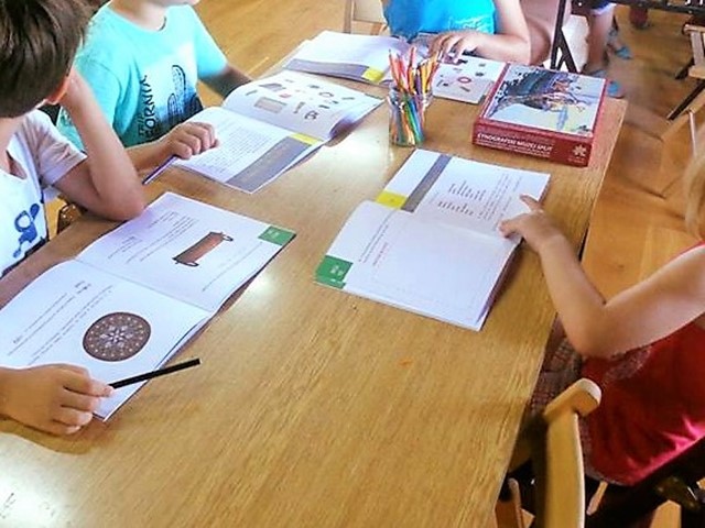 Pitalica neskitalica