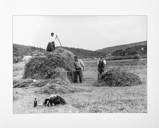 Poster: Koljane (Vrlika), 1957. (400x330 mm)