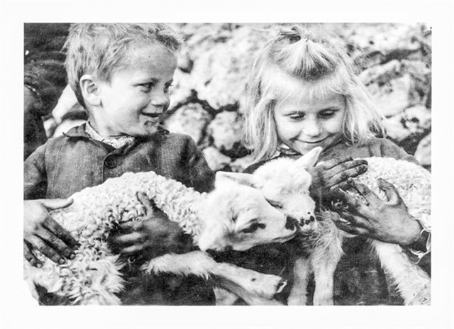 Razglednica: Dalmatinsko  zaleđe (c/b)