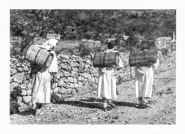 Razglednica: Vrlika, 1952. (c/b)